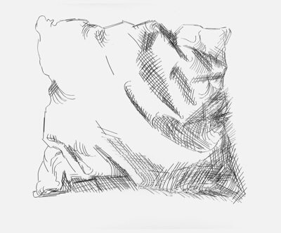 Pillow II (after Dürer)