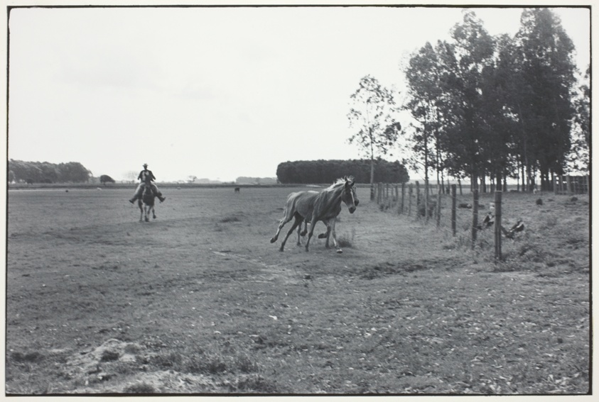 Fazenda de Gado, Camaquà, Rio Grande do Sul