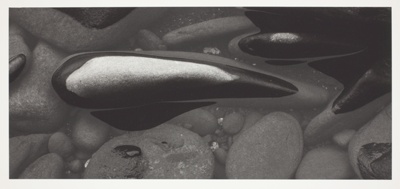 Stone in Water