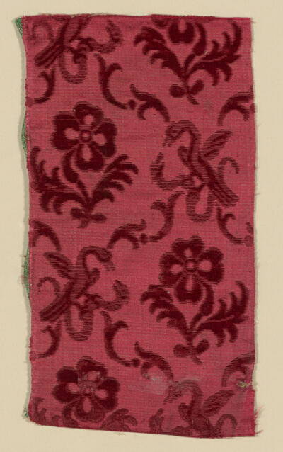 Fragment