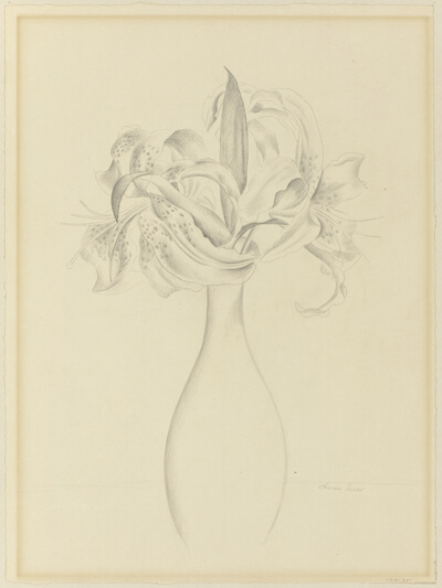 Tiger Lilies