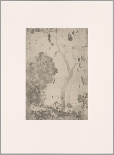 Xi Hu Feng Mu Wu 西湖 枫木坞 2