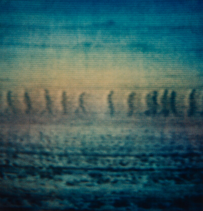 Decoy (blue-yellow convoy)
