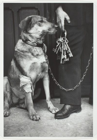 Mr. Caillot's Dog and the Keys to Notre Dame, Paris