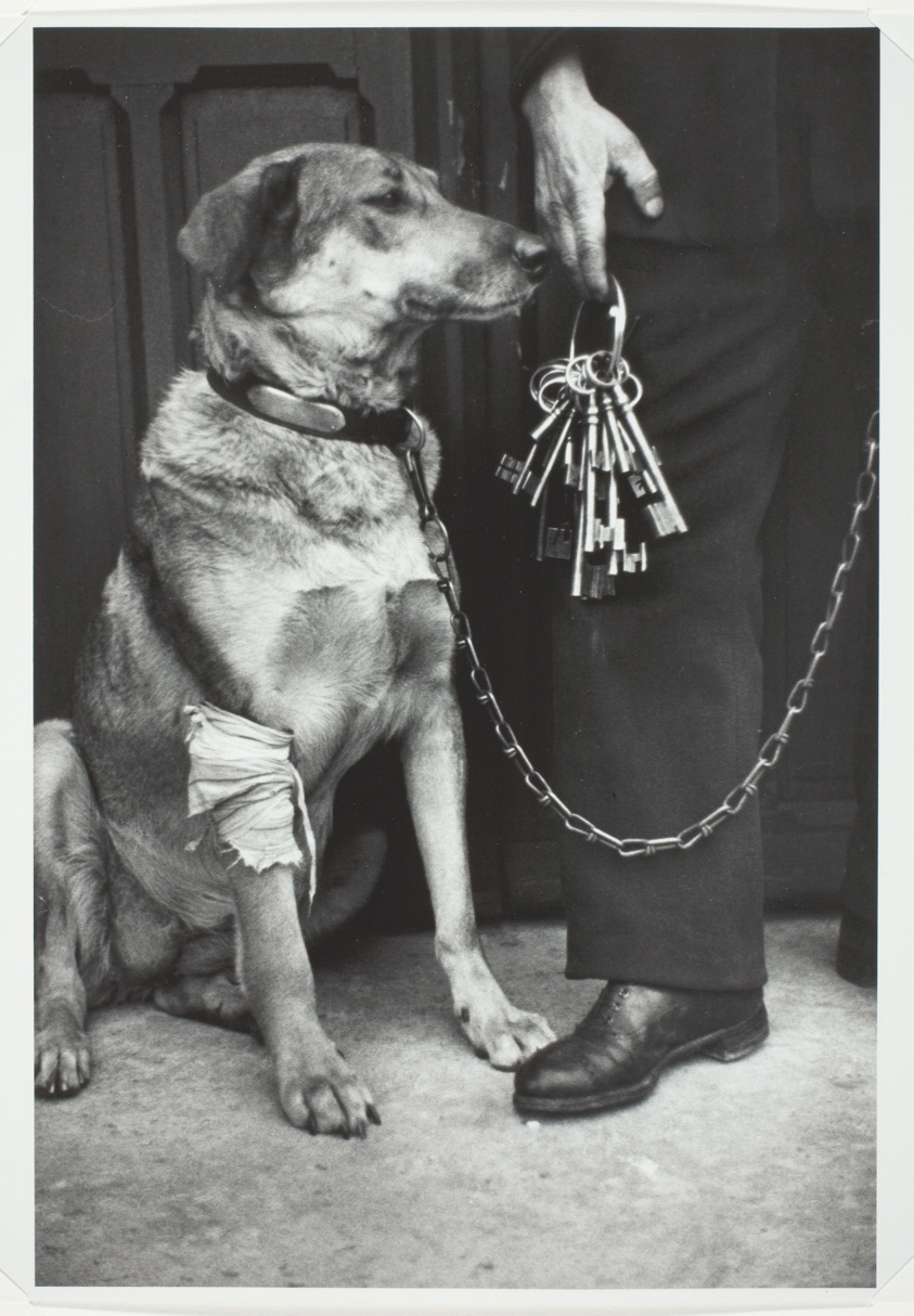 Mr. Caillot's Dog and the Keys to Notre Dame, Paris
