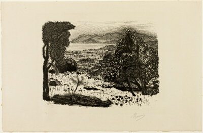 Landscape in the South of France