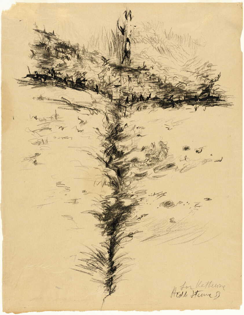 Landscape in Shape of Cross