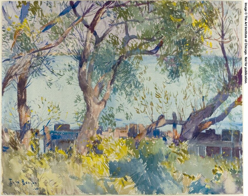Through the Willows