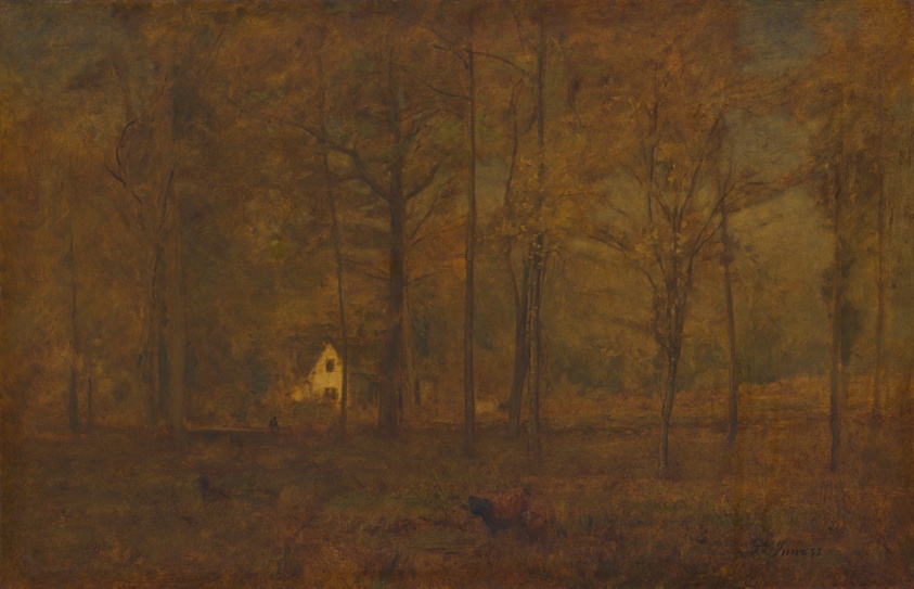 Autumn Woods