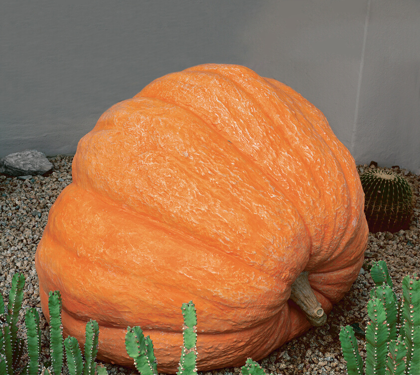 Pumpkin