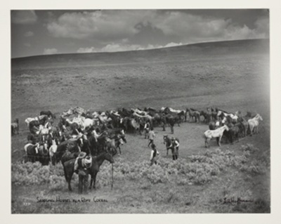 Saddling Horses in a Rope Corral