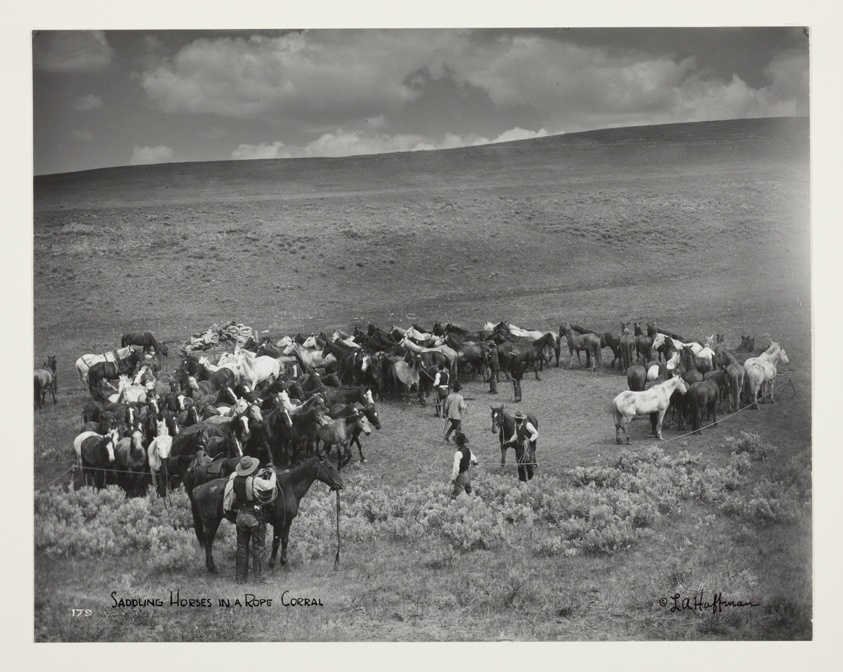 Saddling Horses in a Rope Corral