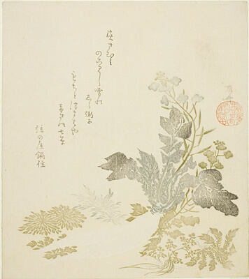 A Giant Radish, Chrysanthemums, and Ferns