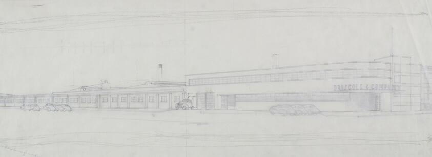 Driscoll and Company Building Alterations, Chicago, Illinois, Perspective