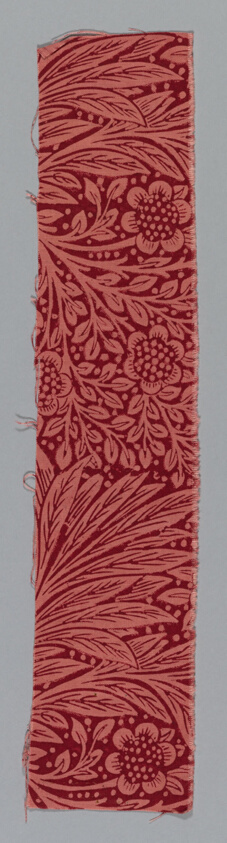 Marigold