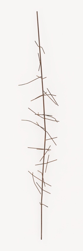 Wire Construction, Student Project, Institute of Design, Chicago, Illinois