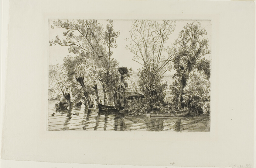 The Willows at Mottiaux