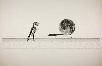Museum of Natural Sciences, Perspective Collage