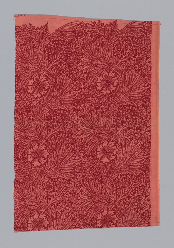 Marigold