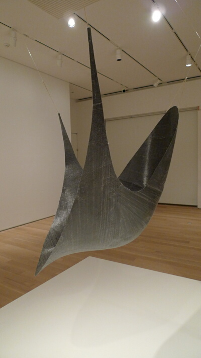 Carbon Net Chair