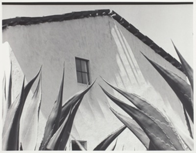 Window on the Maguey Cactus (Ventana a los Magueyes)
