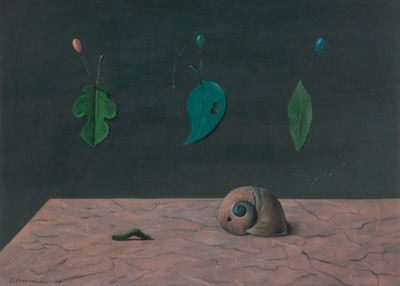 Leaves and Shell