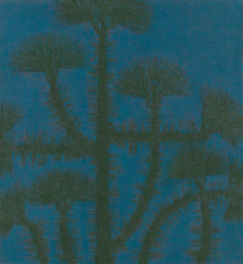 (Winter) Pine