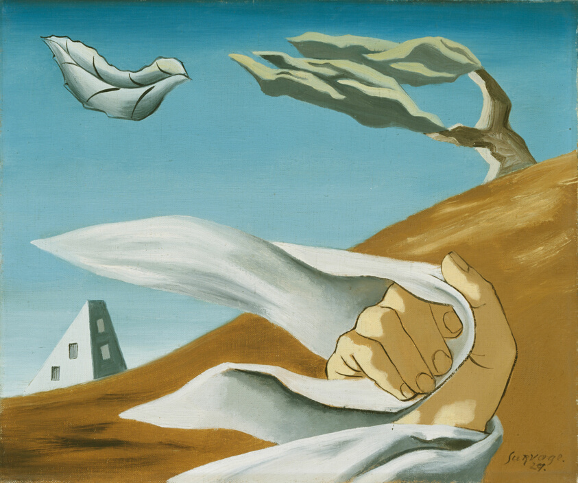Hand Holding Cloth