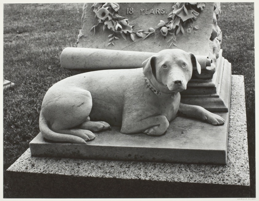 Marble Dog, Mount Auburn Cemetery, Watertown, Massachusetts