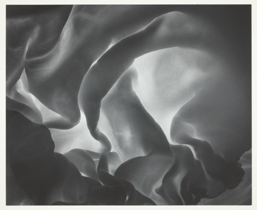 Cabbage Leaf, Winthrop, Massachusetts