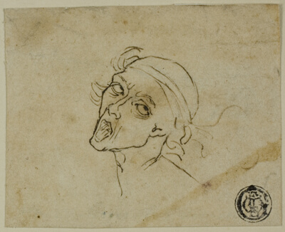 Male Head