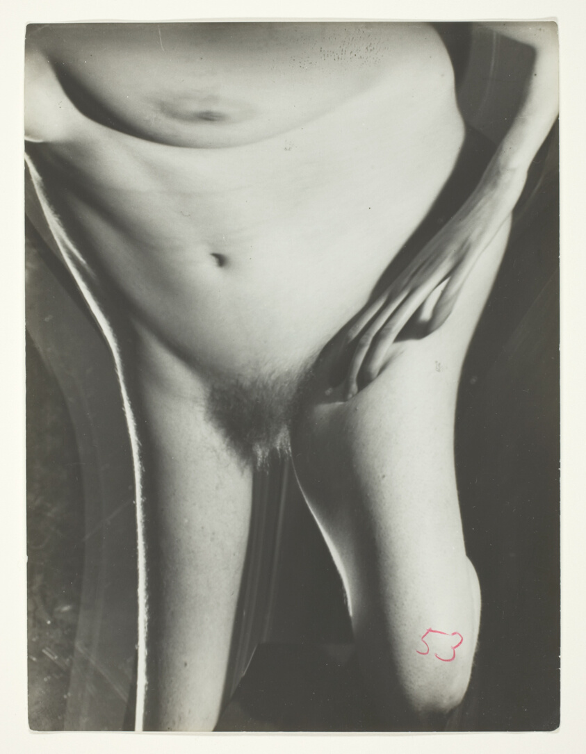 Untitled (Distortion #53)