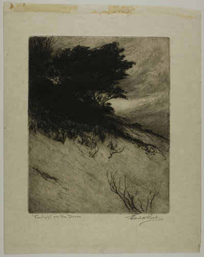 Twilight on the Dunes