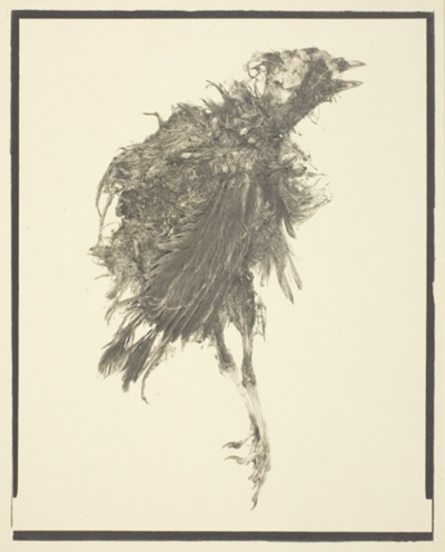 Objet Trouvé, from the series "Objet Trouvé"