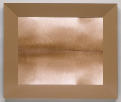 Domestic Abstraction