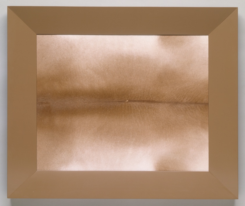 Domestic Abstraction