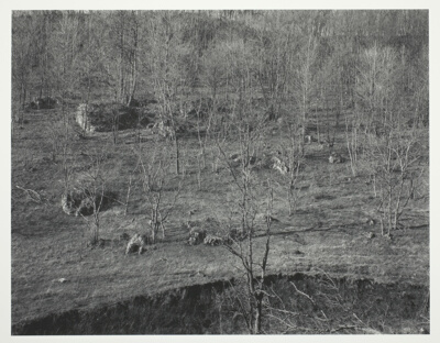 Wisconsin, Hillside