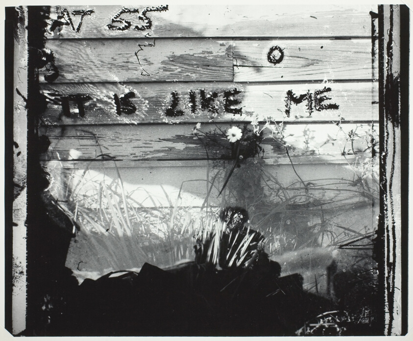 Seament/Cement, Self-Portrait in Mabou