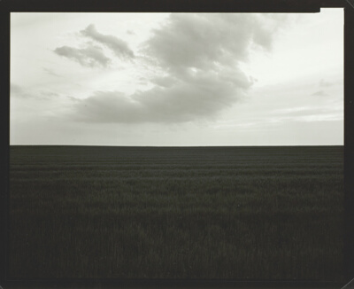 Illinois Landscape