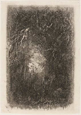 Clearing in the Forest