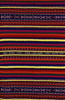 Cloth