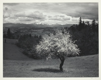 Multnomah County, Washington