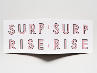 Surprise, Surprise Exhibition Guide