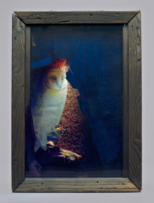 Untitled (Lighted Owl)