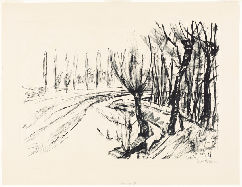 Landscape