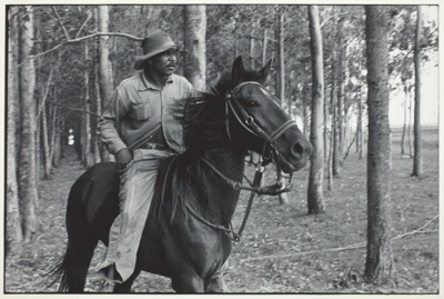 Man Riding out of Forest on Horse