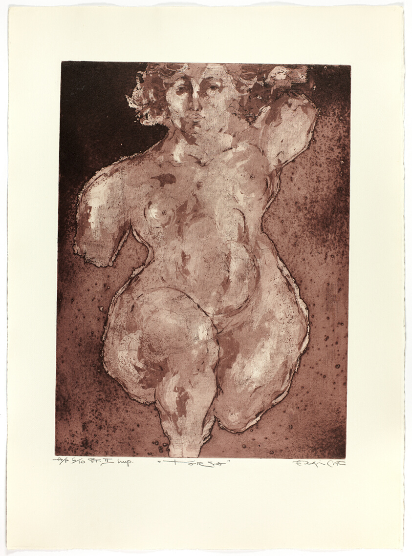Torso