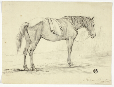 Standing Horse