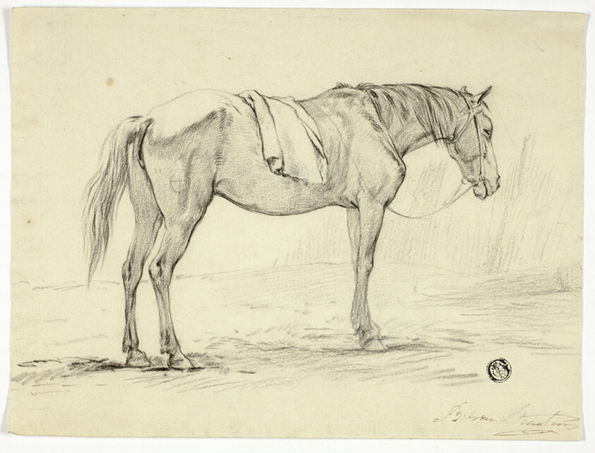 Standing Horse