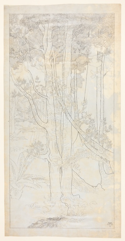 Tree Study Number Three, Australia, Design Drawing